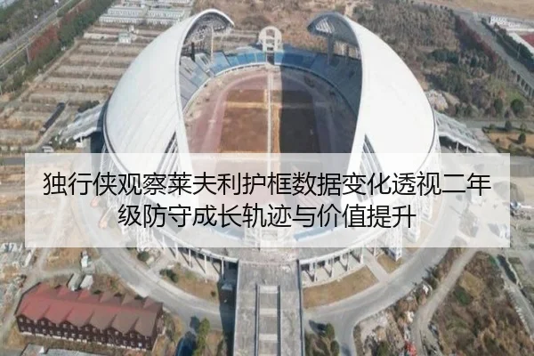 独行侠观察莱夫利护框数据变化透视二年级防守成长轨迹与价值提升
